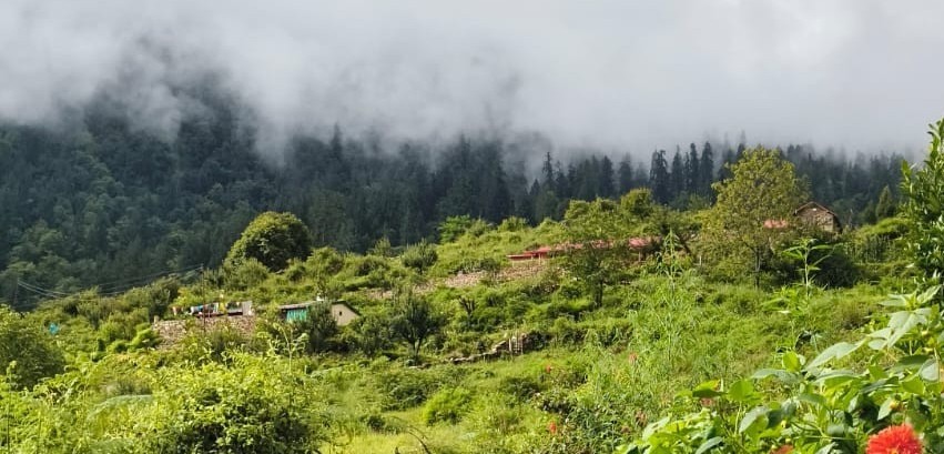Valley of Flowers